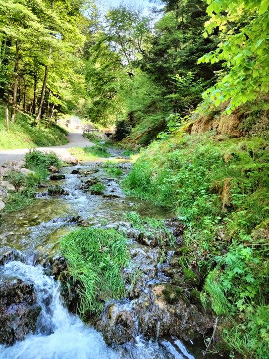 Spaziergang neben plätscherndem Wasser